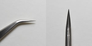 ピンセット　ダック